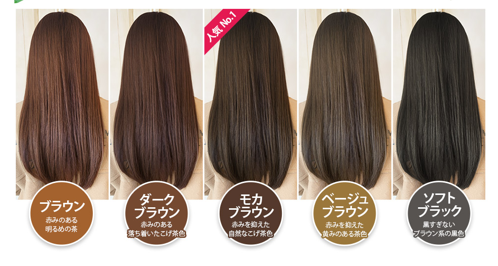 使い勝手の良い】 新品 LPLP ヘアカラートリートメント2本セット Ｄブラウン